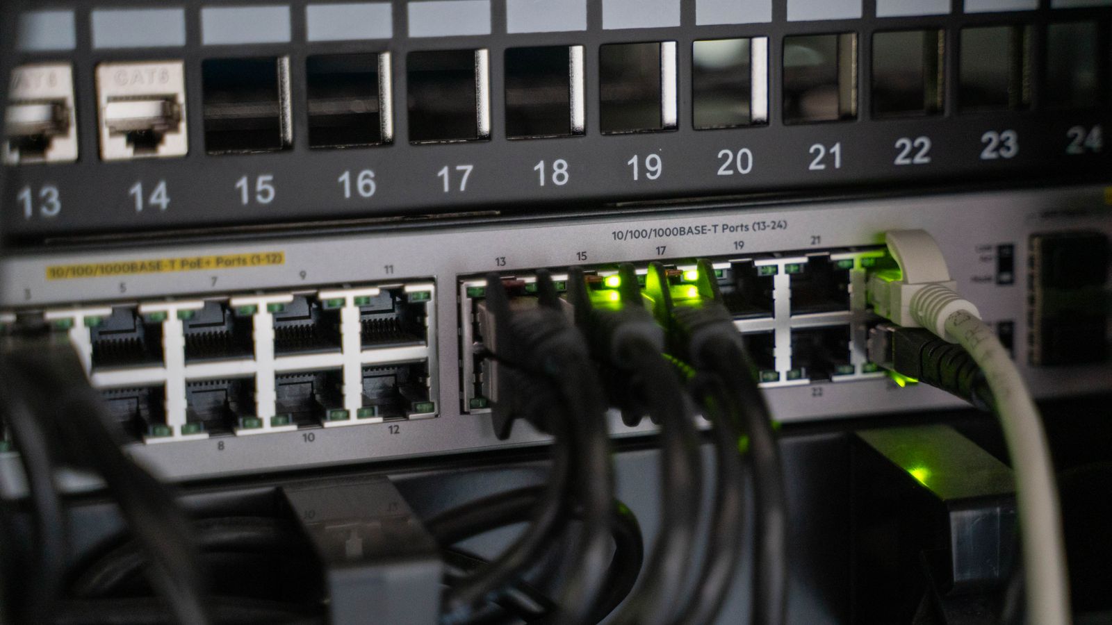 Network cables connected to a switch, illustrating the Peppol four-corner model that links two businesses through their access points